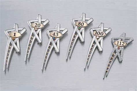 Mary Kay Ladder Of Success Pin