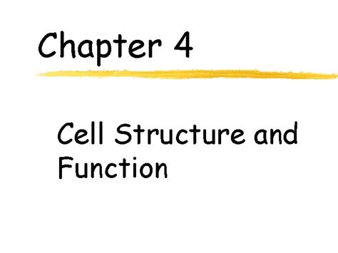 Chapter 4 Cell Structure And Function 1 What