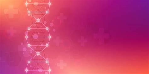 Cadena De ADN Y Estructura Molecular Ingenier A Gen Tica O Investigaci