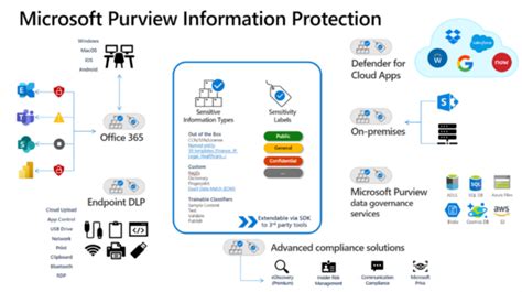 A Guide To Seamlessly Adopting Microsoft Purview For Your Organization