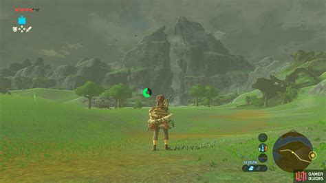 Seek Out Impa Walkthrough Story Quests The Legend Of Zelda