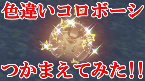 【ポケモンsv】色違いコロボーシつかまえてみた！！ Youtube