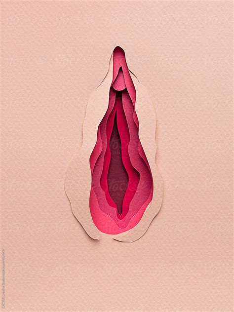 Vagina Shape Del Colaborador De Stocksy Cactus Creative Studio