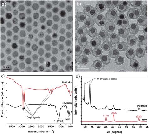 TEM Images Of A Naked And B PEO SiO 2 Coated MnO Nanoparticles