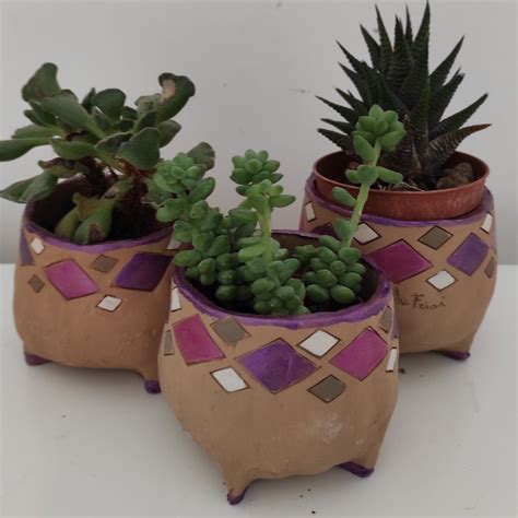 Cactus Planter Pots