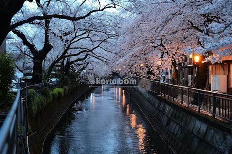 Premium Photo Cherry Blossom Rows Along The Meguro River In Tokyo