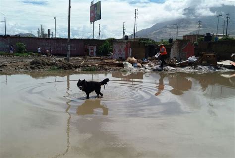 Trujillo más de 700 casas colapsan por lluvia de más de cinco horas