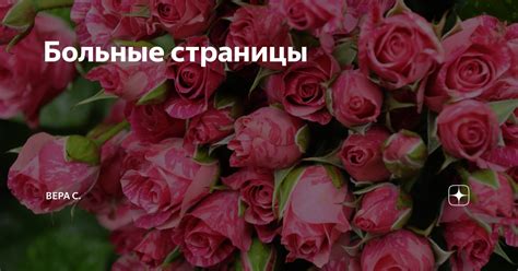 Больные страницы | Вера С. | Дзен