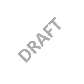 Draft Watermark