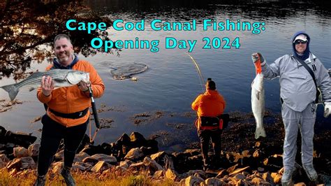 Cape Cod Canal Striper Fishing Opening Day 2024 Youtube