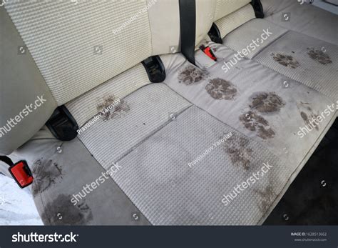 5,152 Dirty car seats Stock Photos, Images & Photography | Shutterstock