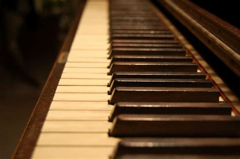 Cuáles Son los Mejores Pianistas de la Historia