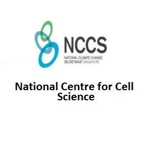 Nccs Recruitment Jobs For Project Scientist Senior Research