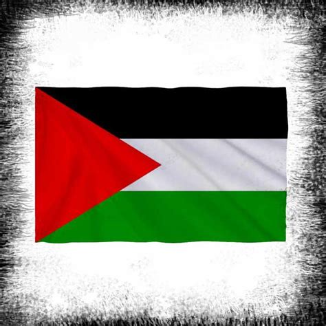 شراء علم فلسطين بطول متر ونصف ب متر Syr Flag