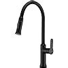 GICASA Single Handle Pull Out Spray Kitchen Tap Commercial Style Pre