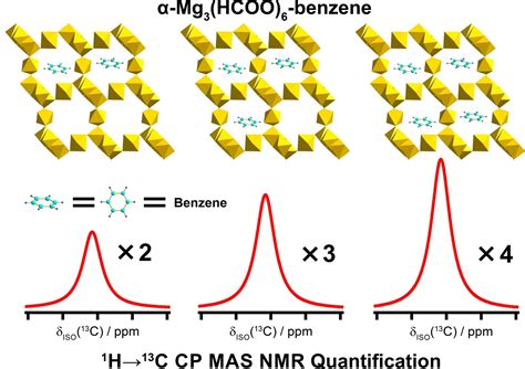 CrossPolarization SolidState NMR Quantification Of Species Within