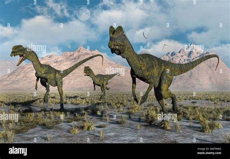 Dinosaurios Voladores Fotografías E Imágenes De Alta Resolución Alamy