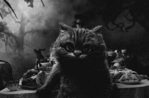 Black And White Cheshire Cat  Wiffle