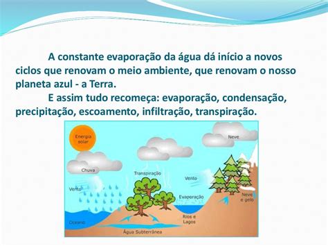 Atividade Sobre O Ciclo Da Agua 5 Ano BRAINCP