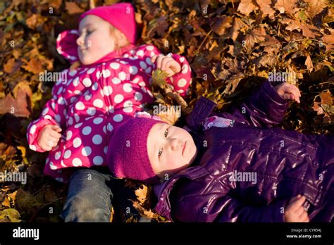 Little Children Lying In Autumn Leaves Stock Photo Alamy