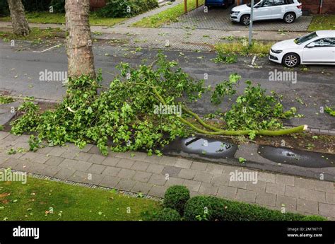 Baumschaden Nach Sturm In Nrw Am 30 06 2022 Fotos Und Bildmaterial In