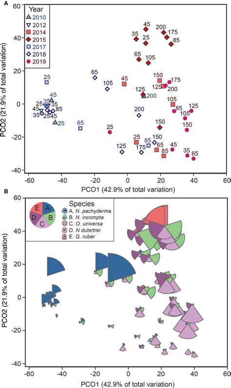 Frontiers Planktonic Foraminiferal Assemblages Reflect Warming During