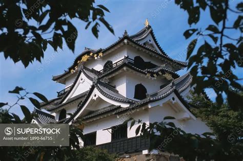 Hikone_jo Hikone castle, Hikone, Japan, Asia - SuperStock