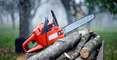 Chainsaw Safety Tips 10 Dos And Donts