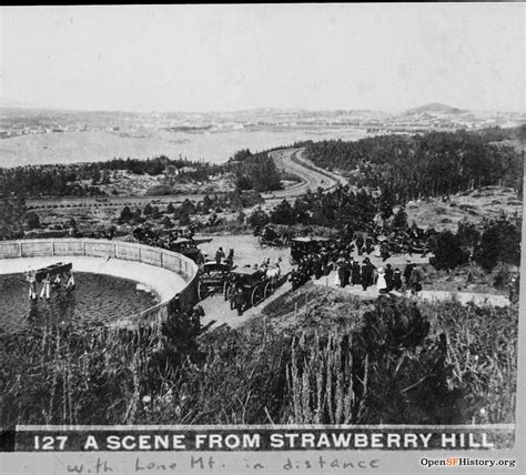 Fileview Northeast From Strawberry Hill C 1870 Lone Mountain In The