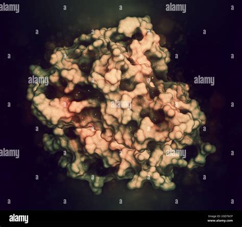 Tumor Necrosis Factor Alpha Tnf Cytokine Protein Molecule D