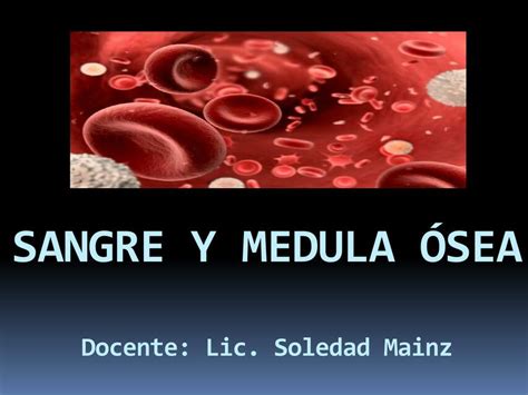 Sangre Y Medula Osea Ara UDocz