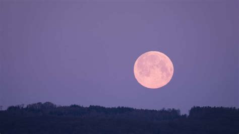 Pink Moon Over Germany The Fourth Full Moon Of The Year Shines On This