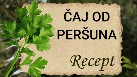 Čaj od peršuna Zašto je dobar i koliko dugo ga trebate piti RECEPT