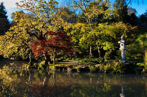 Bilder Frankreich Natur Herbst Parks Teich B Ume