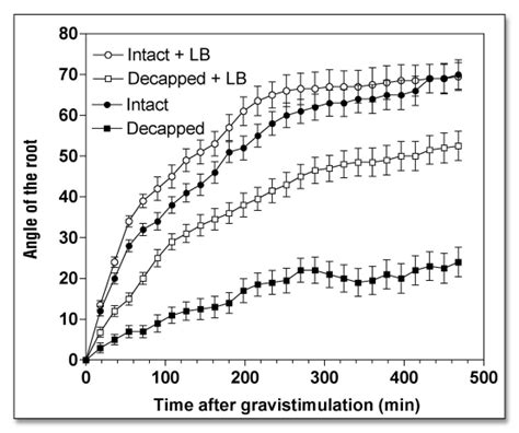 Effects Of Latrunculin B 10 µm For 2 H On The Kinetics Of