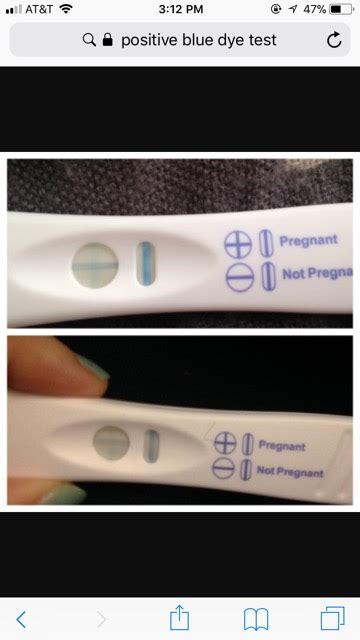 Difference between Evap lines and Positives on BLUE DYE TESTS. - Glow Community