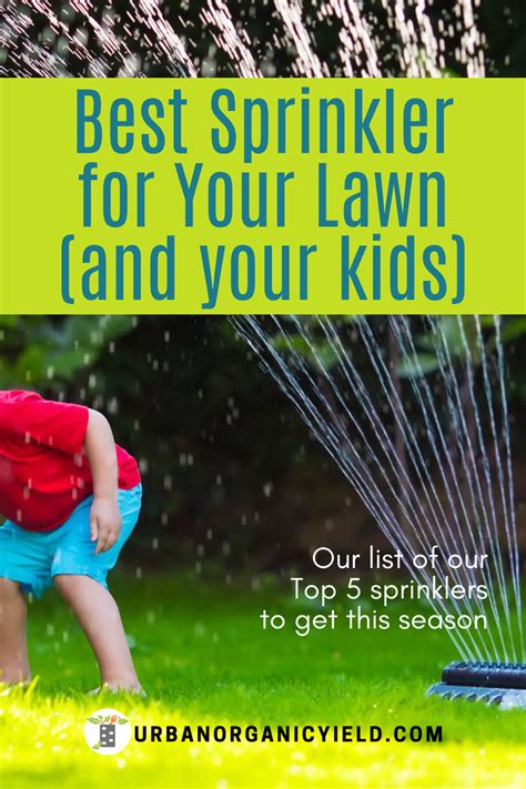 Best Sprinkler For Your Lawn Artofit