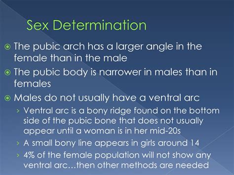 Human Remains Forensics Chapter Ppt Download