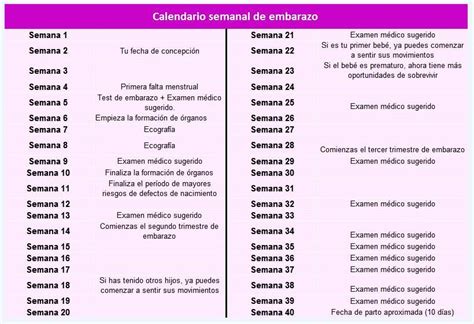 Calendario De Embarazo Imprimible Semanas Y Desarrollo Fetal