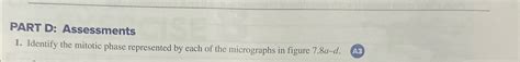 Solved Part D Assessmentsidentify The Mitotic Phase Chegg