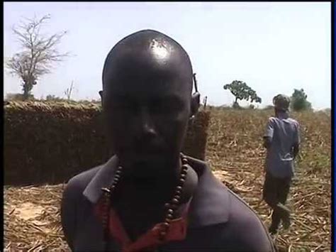 ANCAR Les bonne pratiques agricoles diffusées dans les Niayes Sénégal