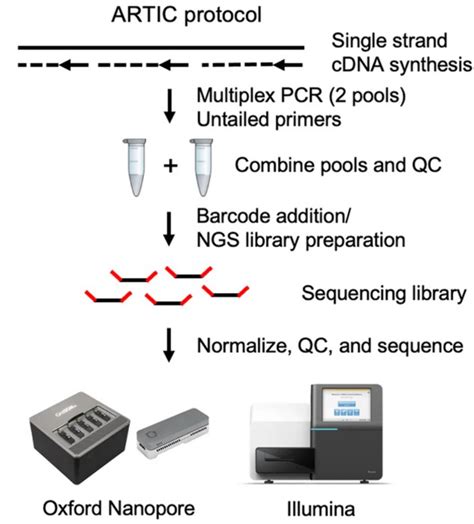 Amplicon Based Sequencing