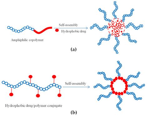 Polymers Free Full Text Micellar Drug Delivery Systems Based On