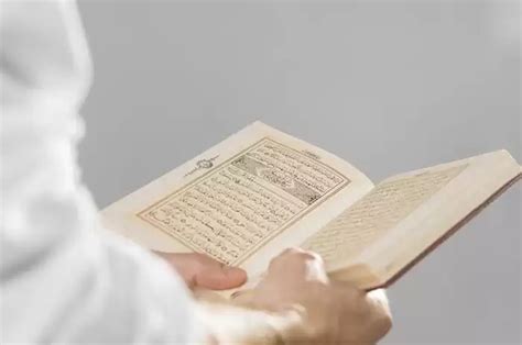 Hukum Tajwid Surat Al Maidah Ayat 48 Yang Lengkap Dengan Arti Dan