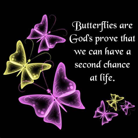 Butterflies Are Gods Prove That We Can Have A Second Chance At Life