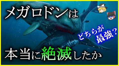 【ゆっくり解説】生まれる前から凶暴⁉「メガロドン」は本当に絶滅したのか⁉を解説 リヴィアタン・メルビレイとどちらが強かった？ Youtube