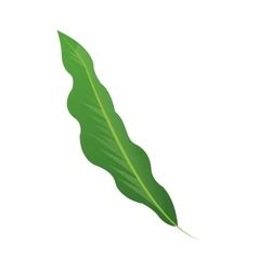 Single & Leaf Vector Images (over 10,000)