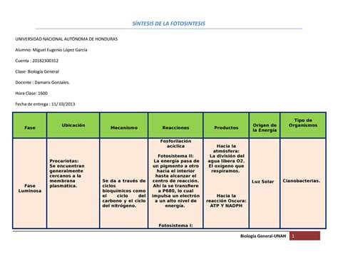 Tabla Síntesis DE LA Fotosíntesis Actividad 11 SÍNTESIS DE LA