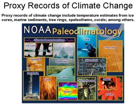 Chapter 20 Climate Change Flashcards Quizlet