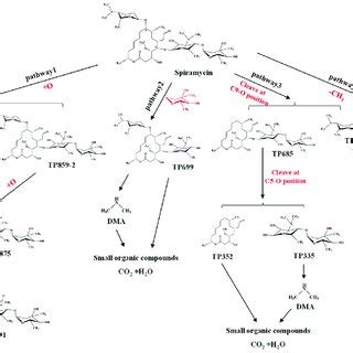 The Proposed Degradation Pathways Of SPM In The UV Fe3O4 ZSM 5 Sch H2O2